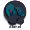 Portrait de pictode